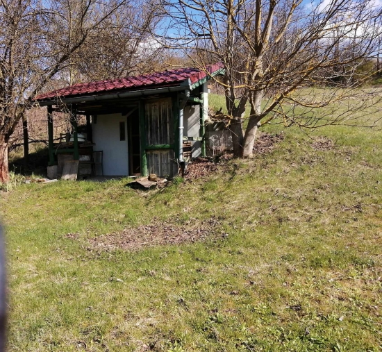 Predaj, rodinný dom Lontov, vinárska pivnička a veľký pozemok