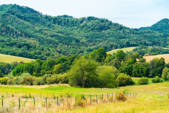 Predaj, pozemok pre rodinný dom   818 m2 Banská Štiavnica