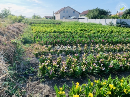 Predaj, pozemok pre rodinný dom   500 m2 Tureň