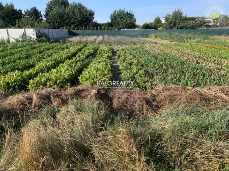 Predaj, pozemok pre rodinný dom   1332 m2 Tureň