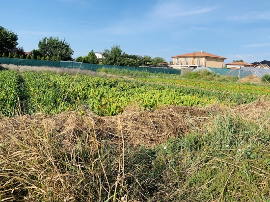 Predaj, pozemok pre rodinný dom   1332 m2 Tureň