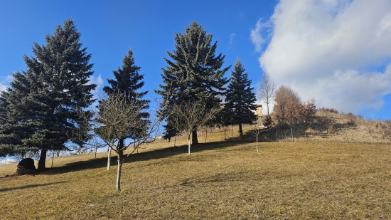 Predaj, pozemok pre rodinný dom   1671 m2 Banská Belá