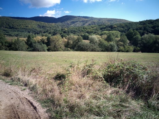 Predaj, pozemok pre rodinný dom   2791 m2 Seč