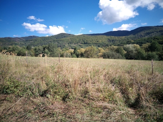 Predaj, pozemok pre rodinný dom   2791 m2 Seč