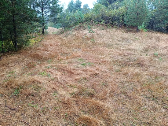 Predaj, pozemok pre rodinný dom   4217 m2 Gelnica, Slovenské Cechy - Nad Krížovou - EXKLUZÍVNE HALO REALITY