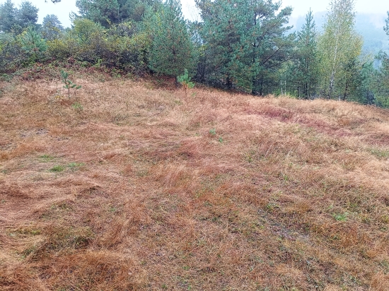 Predaj, pozemok pre rodinný dom   4217 m2 Gelnica, Slovenské Cechy - Nad Krížovou - EXKLUZÍVNE HALO REALITY