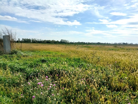 Predaj, pozemok pre rodinný dom 763 m2 Štefanovičová