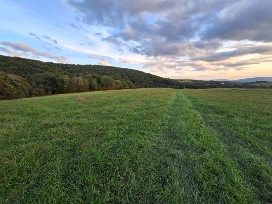 Predaj, pozemok pre rodinný dom   10798 m2 Seč, v celku alebo jednotlivo po stavebných parcelách