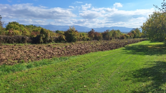 Predaj, záhradný pozemok   1426 m2 Nové Mesto nad Váhom, plus podiel v ceste 190 m2