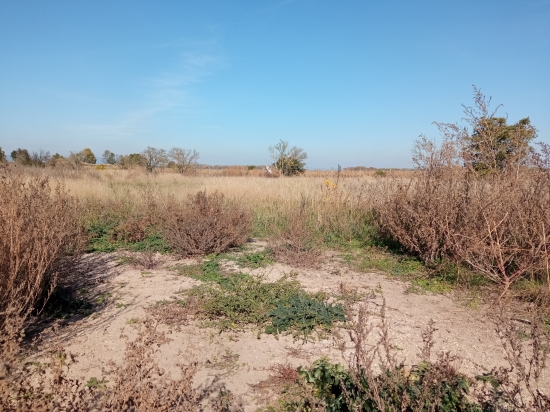 Predaj, pozemok pre rodinný dom   505 m2 Cífer, Pác