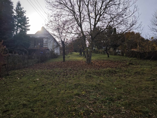 Predaj, pozemok   2002 m2 Rimavská Sobota, Vinice, Vinice