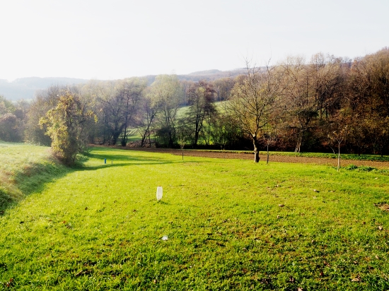 Predaj, pozemok pre rodinný dom   787 m2 Nová Bošáca