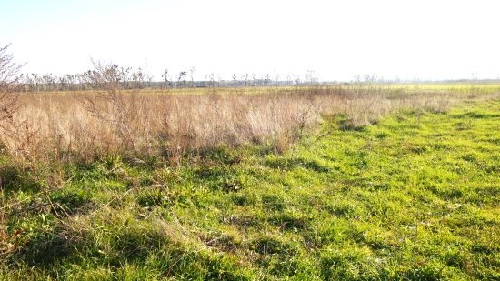 Predaj, pozemok pre rodinný dom 508 m2 Brodské