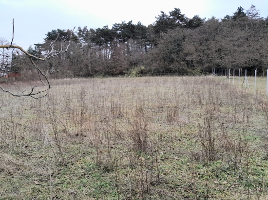 Predaj, pozemok pre rodinný dom   889 m2 Koplotovce