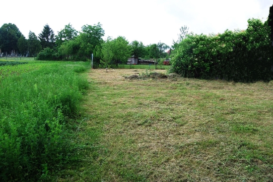 Predaj, pozemok pre rodinný dom   536 m2 Volkovce