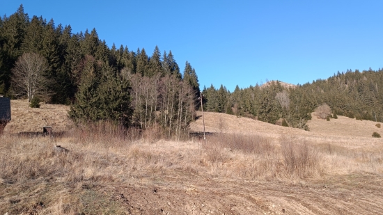 Predaj, rekreačný pozemok Nižná Boca, pod Čertovicou - Nízke Tatry - EXKLUZÍVNE HALO REALITY