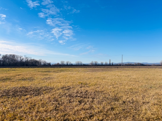 Predaj, pozemok pre rodinný dom   769 m2 Veľký Grob