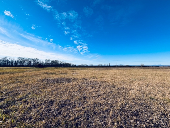 Predaj, pozemok pre rodinný dom   769 m2 Veľký Grob