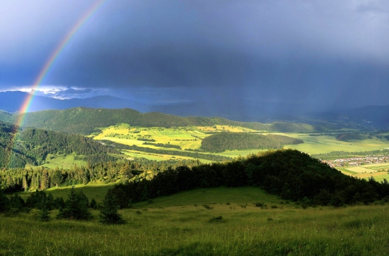 Predaj, pozemok pre rodinný dom   10535 m2 Jasenie - EXKLUZÍVNE HALO REALITY