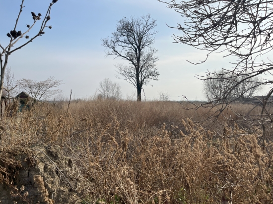 Predaj, pozemok pre rodinný dom   2000 m2 Selice